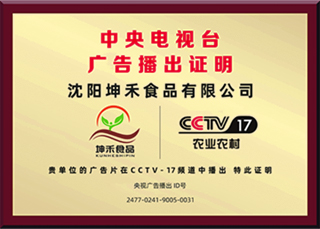 CCTV-17